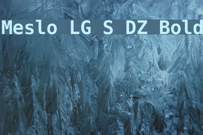 Meslo LG S DZ Bold Font examples