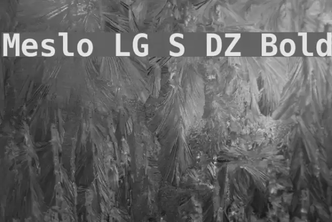 Meslo LG S DZ Bold Font examples