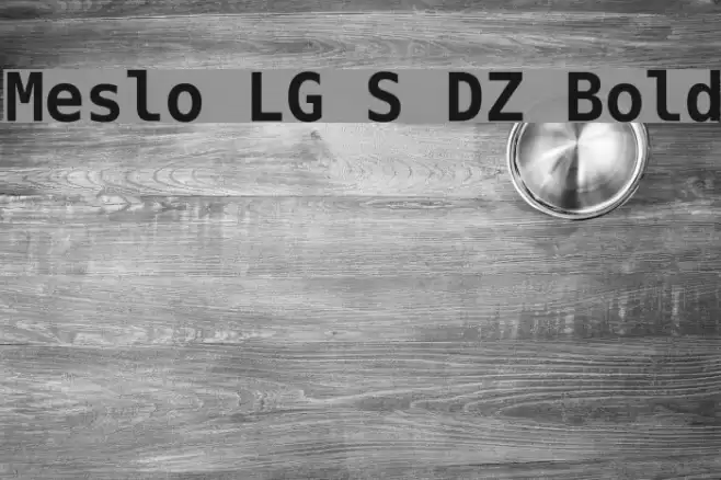 Meslo LG S DZ Bold Font examples