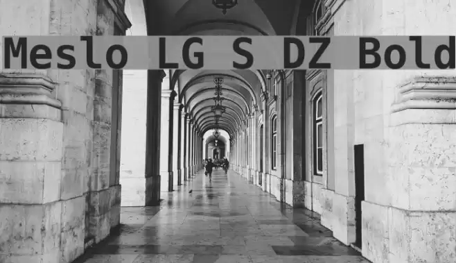 Meslo LG S DZ Bold Font examples