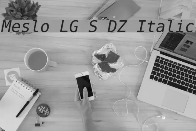 Meslo LG S DZ Italic フォント examples