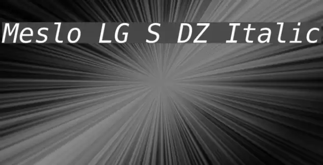 Meslo LG S DZ Italic フォント examples