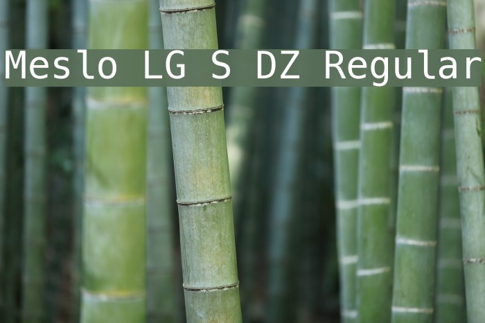 Meslo LG S DZ Regular Font examples