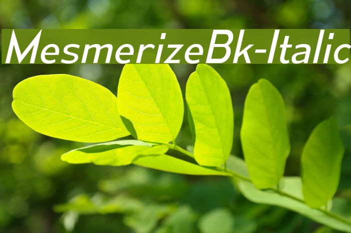 MesmerizeBk-Italic Font examples