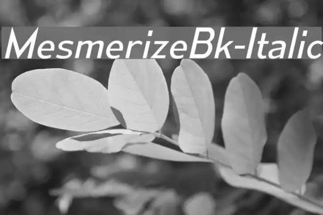 MesmerizeBk-Italic Example 3