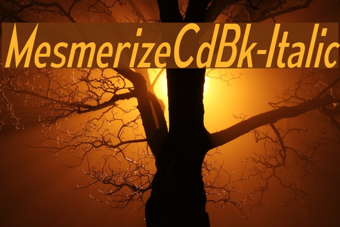 MesmerizeCdBk-Italic Font examples