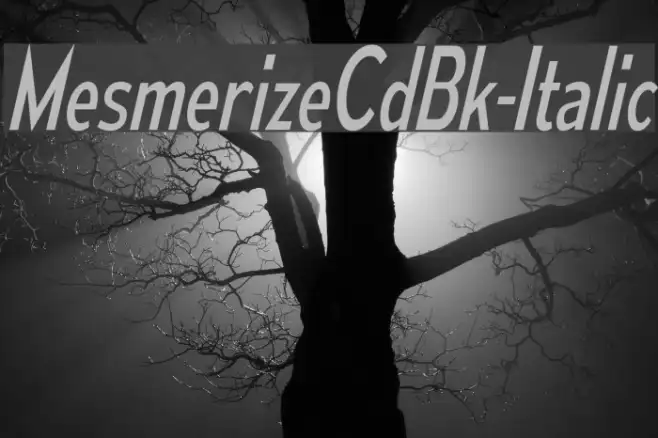 MesmerizeCdBk-Italic Example 2