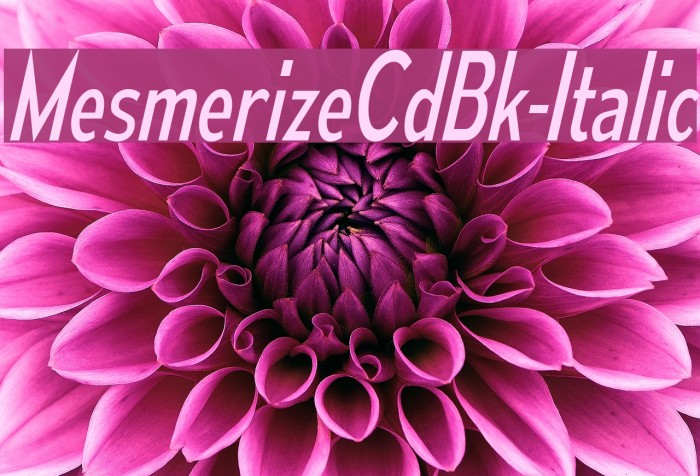 MesmerizeCdBk-Italic Font examples