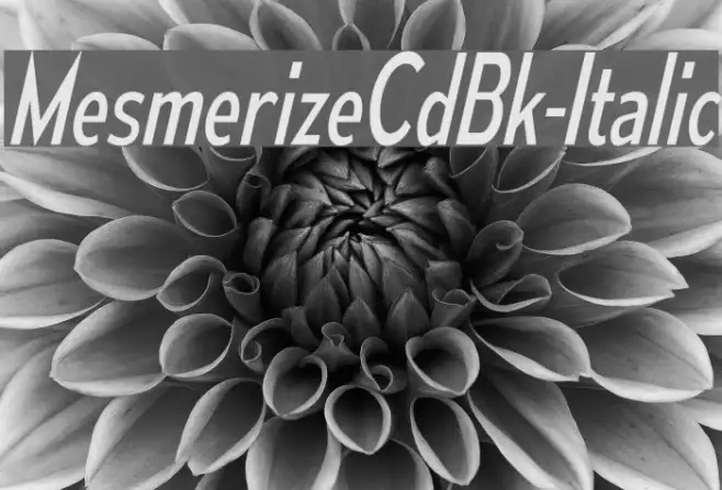 MesmerizeCdBk-Italic Example 3