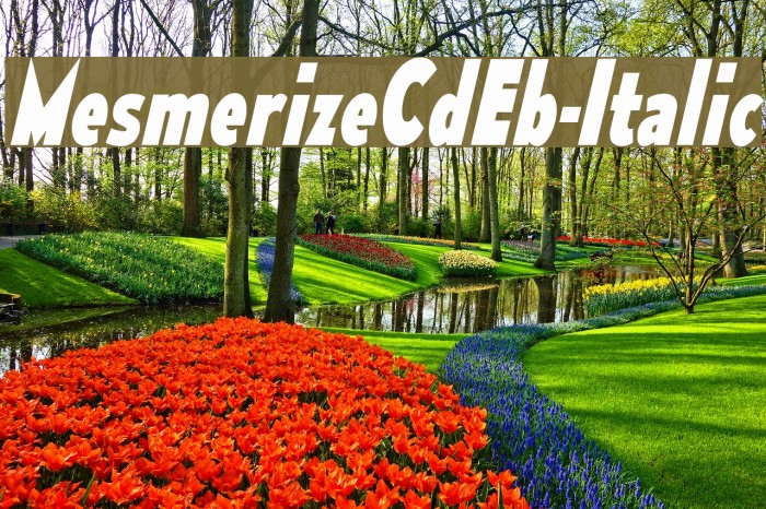 MesmerizeCdEb-Italic Font examples