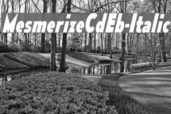 MesmerizeCdEb-Italic Example 3