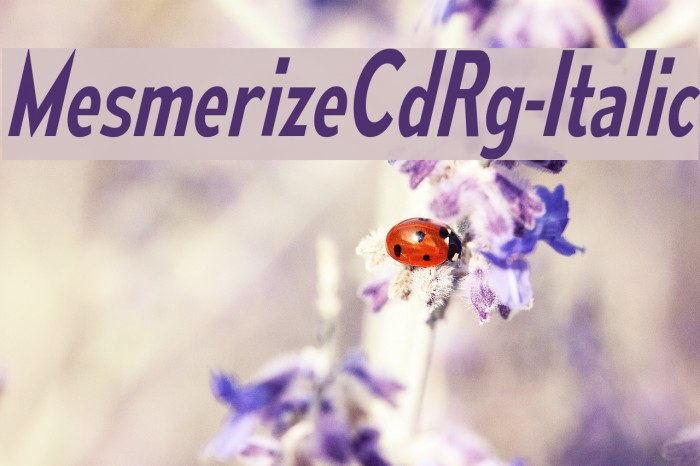 MesmerizeCdRg-Italic Font examples