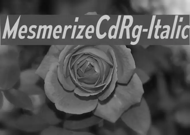 MesmerizeCdRg-Italic Example 3