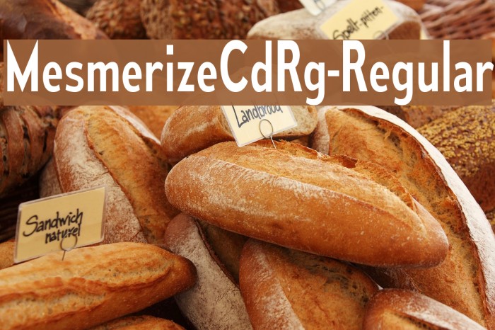 MesmerizeCdRg-Regular Font examples