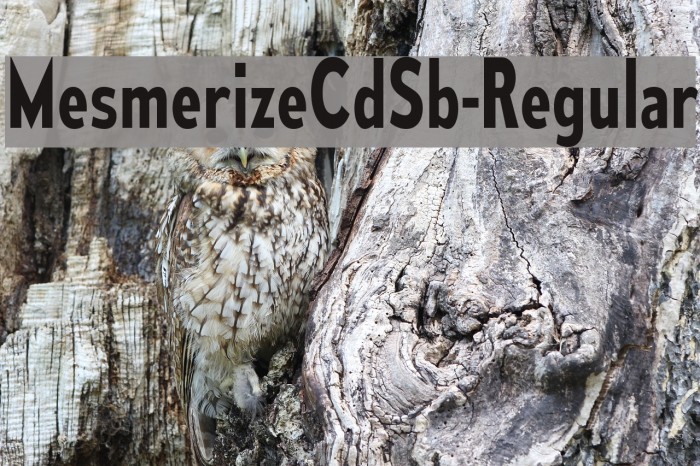 MesmerizeCdSb-Regular Font examples