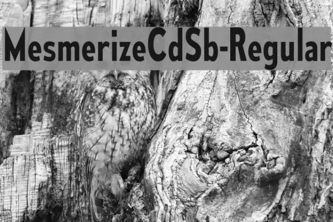 MesmerizeCdSb-Regular Example 3