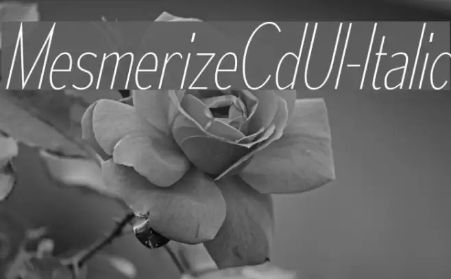 MesmerizeCdUl-Italic Font examples