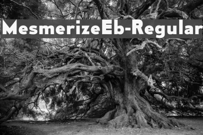 MesmerizeEb-Regular Font examples
