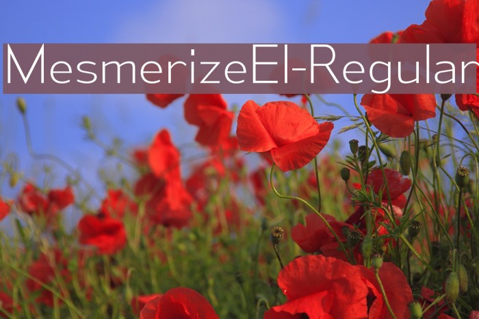 MesmerizeEl-Regular Font examples