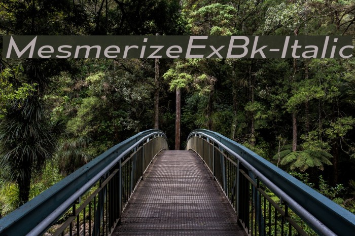 MesmerizeExBk-Italic Font examples