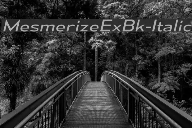 MesmerizeExBk-Italic Example 2
