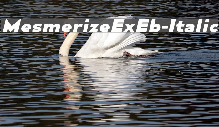 MesmerizeExEb-Italic Font examples