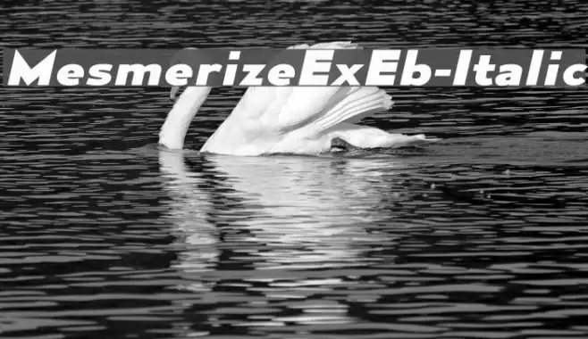 MesmerizeExEb-Italic Example 3
