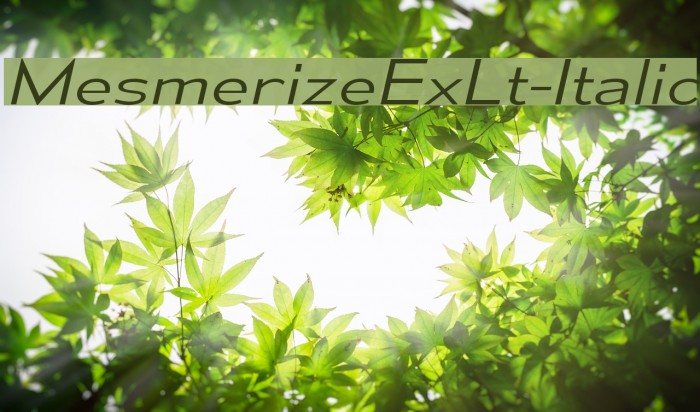 MesmerizeExLt-Italic Font examples