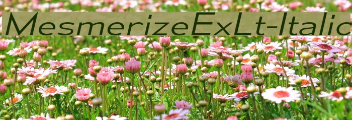 MesmerizeExLt-Italic Font examples