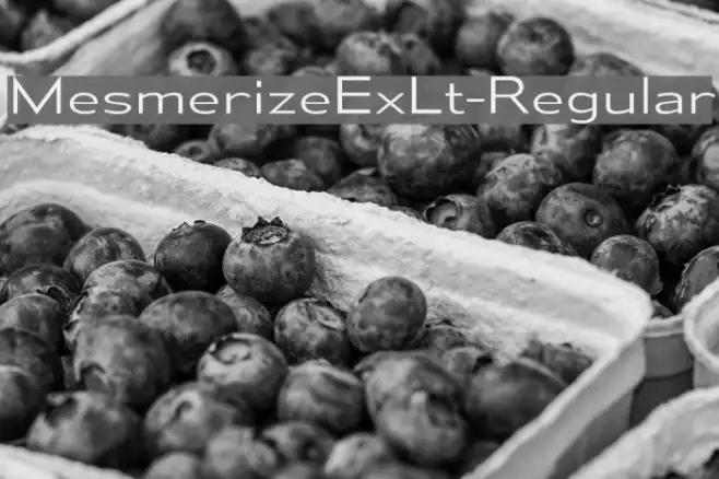 MesmerizeExLt-Regular Example 2
