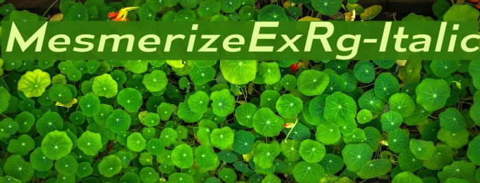 MesmerizeExRg-Italic Font examples