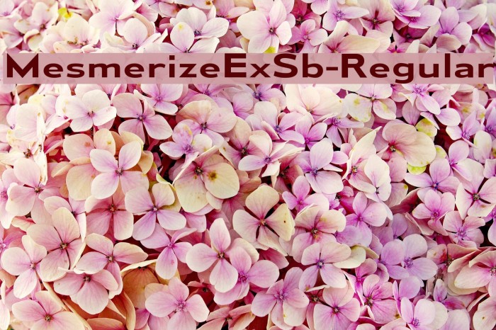 MesmerizeExSb-Regular Example 2