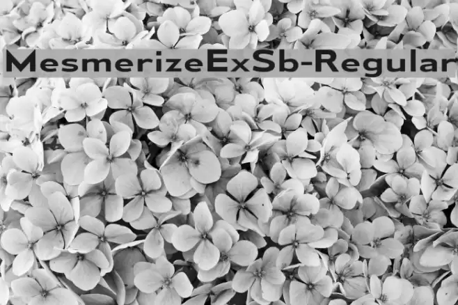 MesmerizeExSb-Regular Font examples