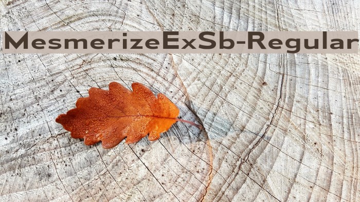 MesmerizeExSb-Regular Example 3