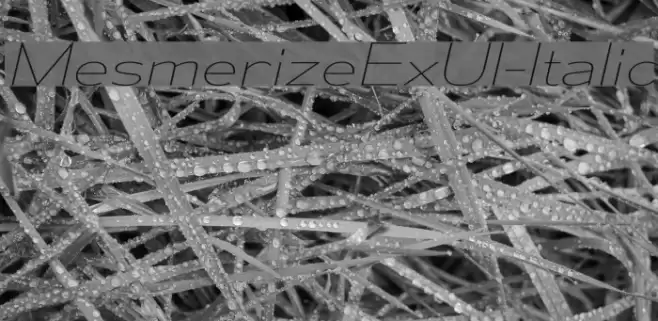MesmerizeExUl-Italic Font examples