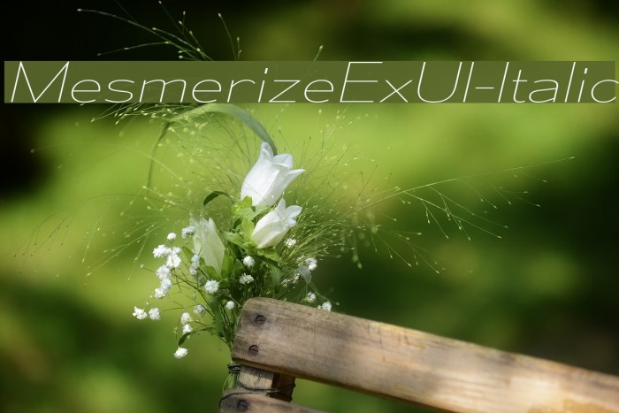 MesmerizeExUl-Italic Font examples