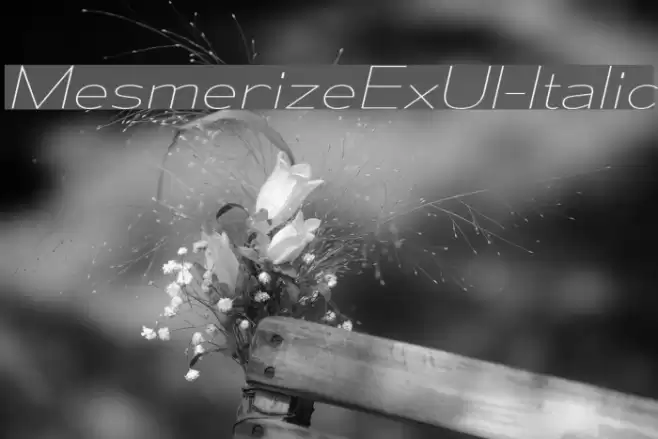 MesmerizeExUl-Italic Font examples