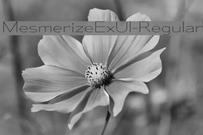 MesmerizeExUl-Regular Example 2