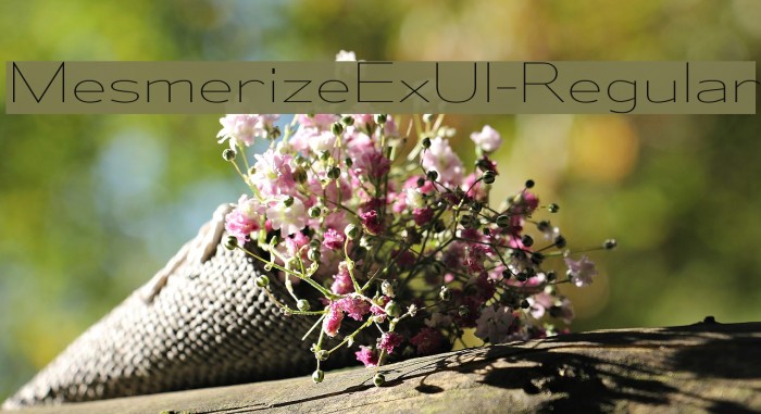 MesmerizeExUl-Regular Font examples
