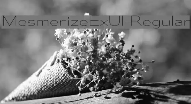 MesmerizeExUl-Regular Example 3