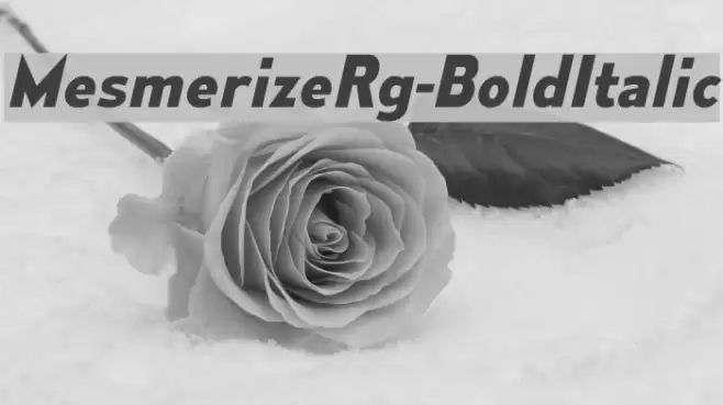 MesmerizeRg-BoldItalic Font examples