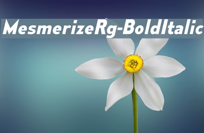 MesmerizeRg-BoldItalic Font examples