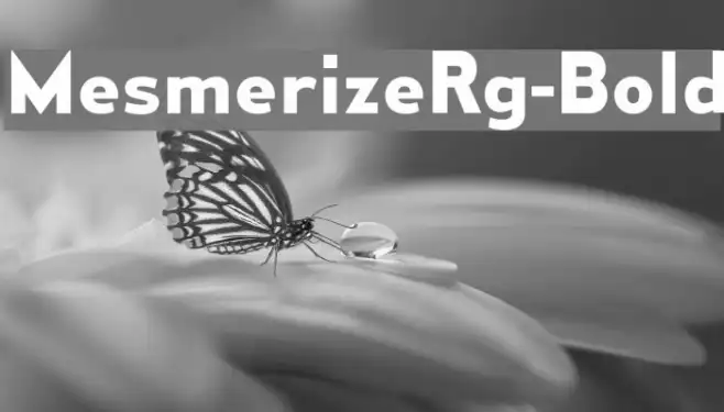 MesmerizeRg-Bold Example 1