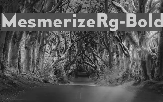 MesmerizeRg-Bold Example 2