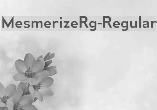 MesmerizeRg-Regular Example 2