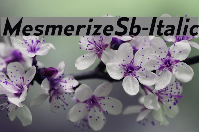 MesmerizeSb-Italic Font examples