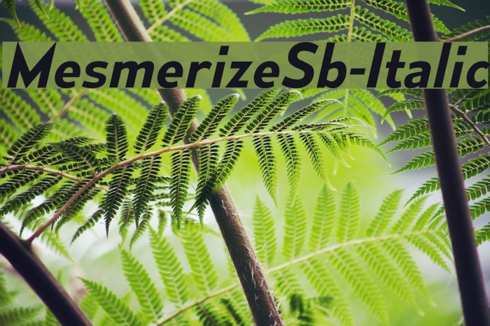 MesmerizeSb-Italic Font examples