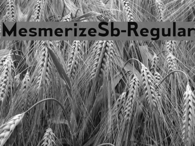 MesmerizeSb-Regular Example 1