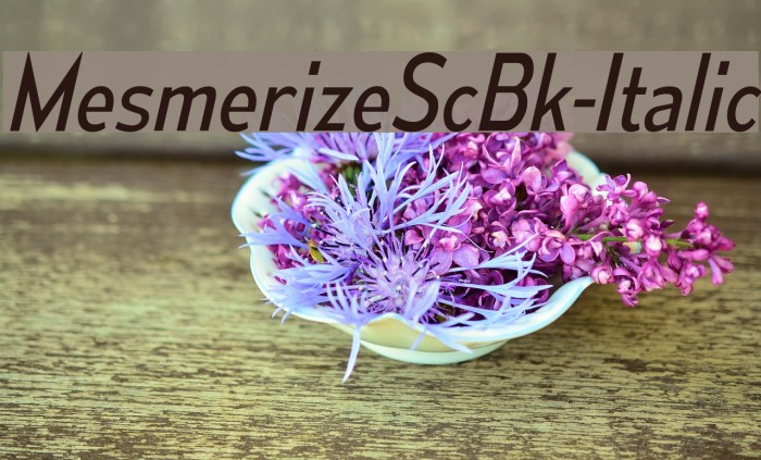 MesmerizeScBk-Italic Font examples