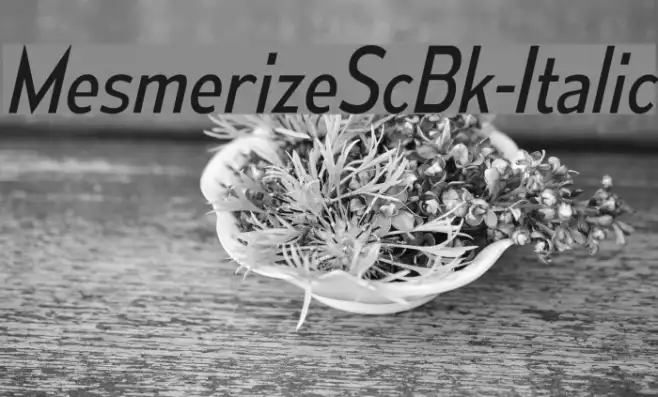 MesmerizeScBk-Italic Example 2
